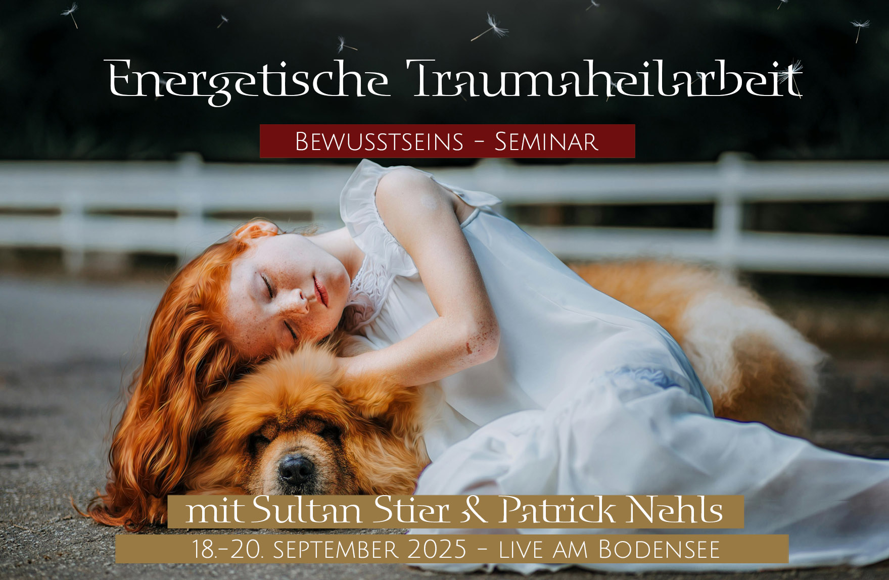 Energetische Traumaheilung